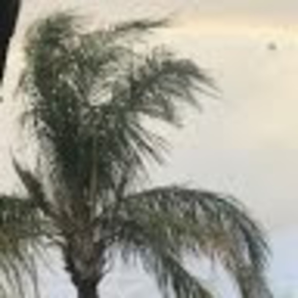 Meet your Posher, Abigail - Picture 1 of 1